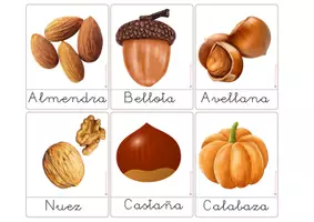 Vista previa - Tarjetas / Manipulativos - OTOÑO - VOCABULARIO: Tarjetas 3 partes. Montessori. - página 3