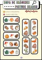 Vista previa - Unidades / Secuencias / Situaciones de Aprendizaje - RECURSO INFANTIL SOPA DE IMÁGENES / PICTURE SEARCH - página 3