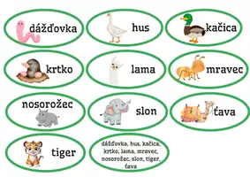 Náhľad - skladaj slová podľa abecedy - strana 2