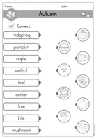 Vorschau - Arbeitsblätter - Autumn Fall Herbst Arbeitsblatt Wortschatz differenziert - Englisch - Seite 3