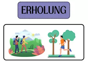 Vorschau - Arbeitsblätter - Funktionen des Waldes, Biologie 7./8. Klasse | Unterrichtsreihe "Ökosystem Wald" | Wald, Funktionen - Seite 1