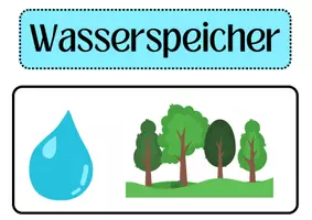 Vorschau - Arbeitsblätter - Funktionen des Waldes, Biologie 7./8. Klasse | Unterrichtsreihe "Ökosystem Wald" | Wald, Funktionen - Seite 2