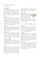 Vorschau - Spiele - Go Green Challenge - Seite 1