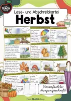 Vorschau - Stationenlernen - Herbstspaziergang - Lese- & Abschreibkartei VA/Vereinfachte Ausgangsschrift - Deckblatt