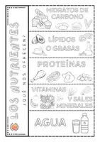 Vista previa - Hojas de trabajo - Flipbook Els nutrients / Los nutrientes - página 3