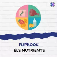 Vista previa - Hojas de trabajo - Flipbook Els nutrients / Los nutrientes - Portada