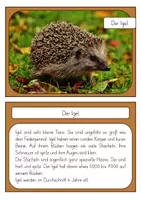 Vorschau - Arbeitsblätter - Der Igel - Steckbrief (1. Klasse und Vorschule) - Seite 1