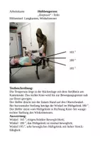 Vorschau - Stundenentwürfe - Beweglichkeitstest und Stretchen-TOP-FIVE - Seite 3