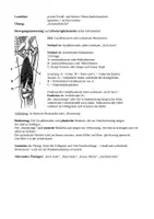 Vorschau - Unterrichtsreihen - Exzentrisches Krafttraining in der Sek. 2 -mit Arbeitskarten - Seite 3