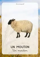 Aperçu - Affichage - Affichages animaux de la ferme - Page 1