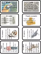 Vista previa - Refuerzo / NEE / Materiales de apoyo - Trabalenguas para practicar la pronunciación y la lectura - página 2