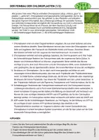 Vorschau - Arbeitsblätter - Feinbau der Chloroplasten Fotosynthese Ökologie Stoffwechsel - Seite 1
