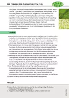 Vorschau - Arbeitsblätter - Feinbau der Chloroplasten Fotosynthese Ökologie Stoffwechsel - Seite 3
