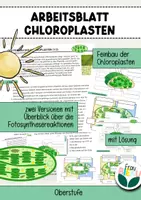 Vorschau - Arbeitsblätter - Feinbau der Chloroplasten Fotosynthese Ökologie Stoffwechsel - Deckblatt
