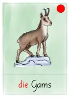 Vorschau - Unterrichtsreihen - Bildwortkarten einheimische Wildtiere - Seite 2