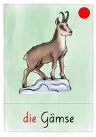 Vorschau - Unterrichtsreihen - Bildwortkarten einheimische Wildtiere - Seite 3