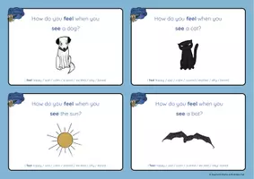 anteprima - Materiale interattivo - Brown Owl's 'How do you feel when ...?' STOP & SWAP - Pagina 1
