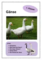 Vorschau - Arbeitsblätter - Gänse 1. Klasse - Deckblatt
