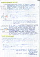 anteprima - Programmi scolastici / Materiali per docenti - Biotecnologie: Clonaggio ed Enzimi di Restrizione - Pagina 2