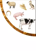 Aperçu - Apprentissages en autonomie - Jeu de cherche et trouve sur la ferme - Page 1