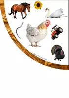 Aperçu - Apprentissages en autonomie - Jeu de cherche et trouve sur la ferme - Page 3