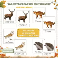 Vista previa - Refuerzo / NEE / Materiales de apoyo - EL ANIMALES DEL BOSQUE - VOCABULARIO: Tarjetas 3 partes. Montessori. Imágenes reales - Portada
