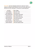 Vorschau - Merkblätter - Adverbs of Manner Info Sheet - Seite 1