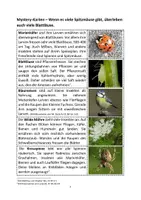 Vorschau - Unterrichtsreihen - Mystery Nahrungsnetz - Seite 1