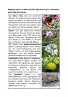 Vorschau - Unterrichtsreihen - Mystery Nahrungsnetz - Seite 2