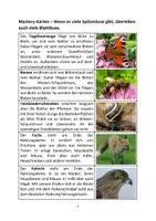 Vorschau - Unterrichtsreihen - Mystery Nahrungsnetz - Seite 3