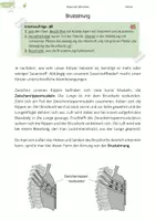 Vorschau - Arbeitsblätter - Atmung | Brustatmung | Bauchatmung | Versuche - Seite 3