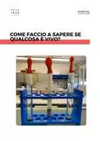 anteprima - Esperimenti - Come faccio a sapere se qualcosa è vivo? - Pagina di copertina