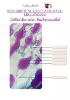 Vorschau - Arbeitsblätter - Mikroskopische Aufnahmen rote Küchenziebelzellen + Plasmolyse - Seite 3