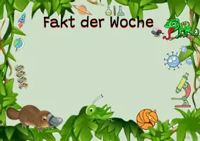 Vorschau - Spiele - Fakt der Woche/ Interessante Fakten für die Schule - Deckblatt