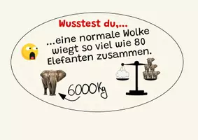 Vorschau - Spiele - Fakt der Woche/ Interessante Fakten für die Schule - Seite 2