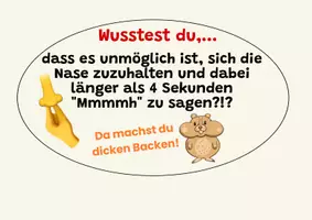 Vorschau - Spiele - Fakt der Woche/ Interessante Fakten für die Schule - Seite 3