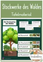 Vorschau - Präsentationen/Tafelbilder - Die Stockwerke des Waldes - Tafelmaterial - Deckblatt