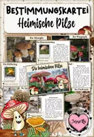 Vorschau - Merkblätter - Pilze | Bestimmungskartei: Heimische Pilze - Deckblatt