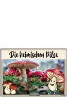 Vorschau - Merkblätter - Pilze | Bestimmungskartei: Heimische Pilze - Seite 1