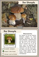 Vorschau - Merkblätter - Pilze | Bestimmungskartei: Heimische Pilze - Seite 2