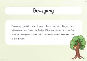 Vorschau - Arbeitsblätter - AB & Infokarten - Kennzeichen des Lebens / Lebewesen - Seite 3