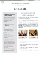 Vista previa - Hojas de trabajo - Català - Diferència entre "Gran" i "Gros" (MMXXIV - Número 2) - página 3