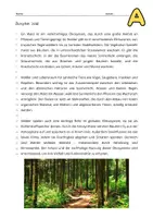 Vorschau - Arbeitsblätter - Gruppenpuzzle Ökosysteme: Wald, Wattenmeer, See, Bach - Seite 2
