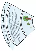 Vorschau - Bildkarten - Legekreis: Kennzeichen des Lebens / der Lebewesen - Seite 1