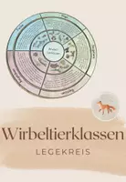 Vorschau - Arbeitsblätter - Materialpaket - Wirbeltierklassen - Seite 1