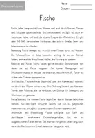 Vorschau - Arbeitsblätter - Arbeitsblätter: Wirbeltierklassen - Differenzierung - Seite 2
