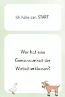 Vorschau - Spiele - Lesespiel: Wirbeltierklassen & Kennzeichen des Lebens - Seite 1