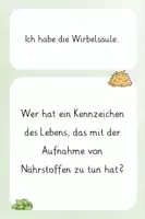 Vorschau - Spiele - Lesespiel: Wirbeltierklassen & Kennzeichen des Lebens - Seite 2