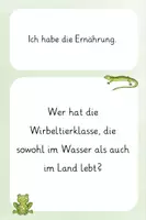 Vorschau - Spiele - Lesespiel: Wirbeltierklassen & Kennzeichen des Lebens - Seite 3