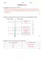 Vorschau - Arbeitsblätter - Klassenarbeit Wärme Wärmeübertragung Wärmedämmung mit Lösungen - Seite 2
